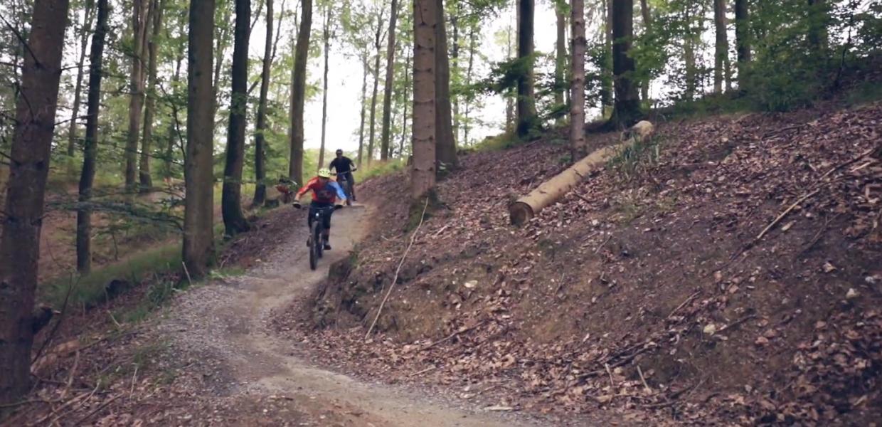 Cyklister i Sønderskoven screendump til video
