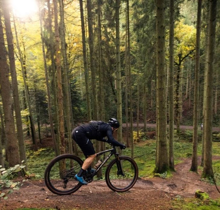 Cykelrytter på mountainbike mellem træerne i Nørreskoven