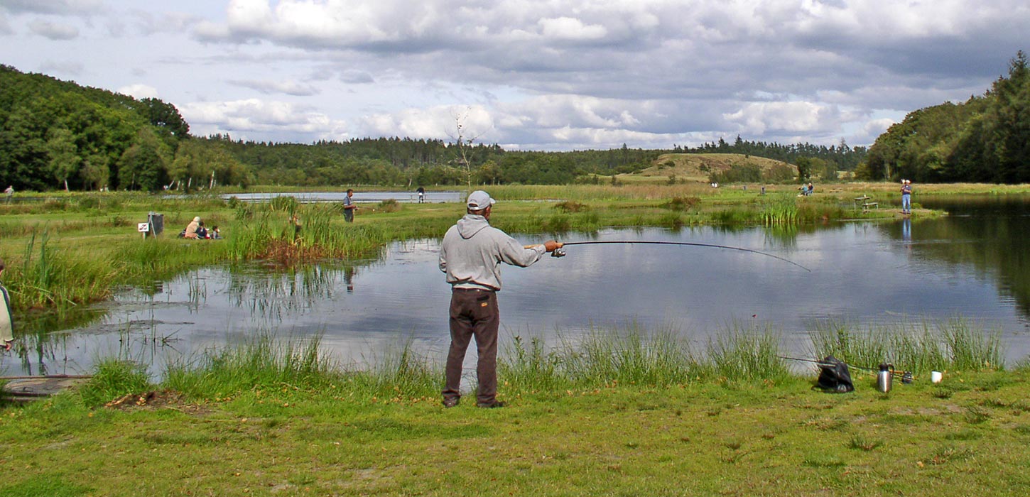 Ein Angler bei Vester Mølle Put & Take
