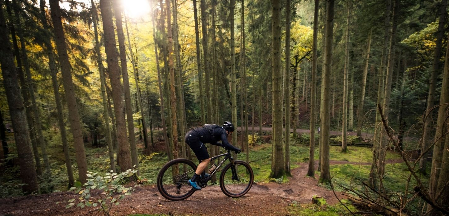 Radfahrer mit dem Mountainbike auf der Mountainbikestrecke in Nørreskoven