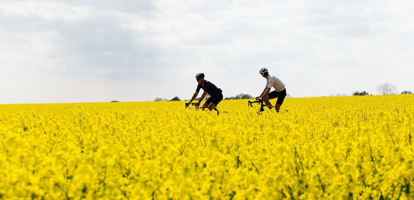Cykeltur om foråret ved rapsmarker i Vejle