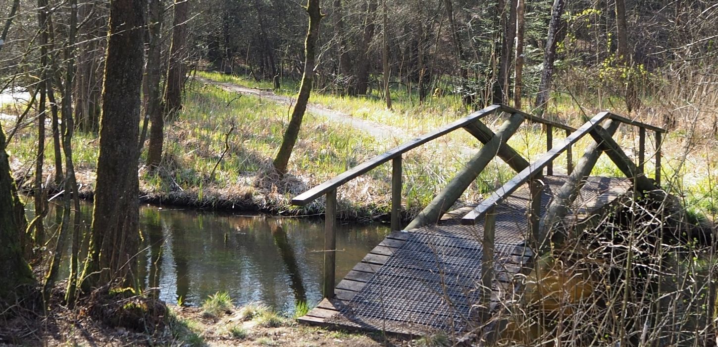 Bro over å i Gødding Skov