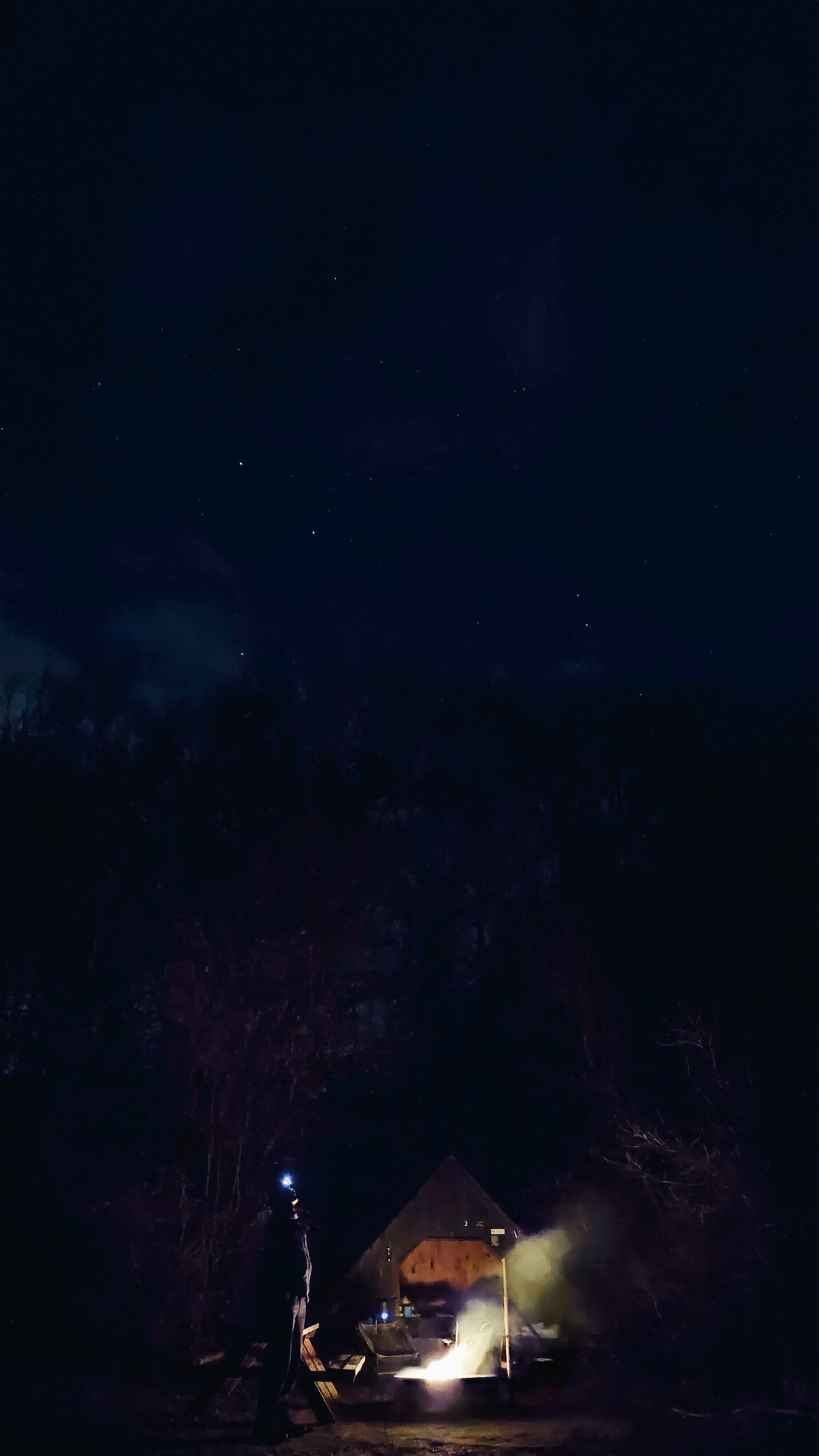 Telt og bål om natten på sheltertur