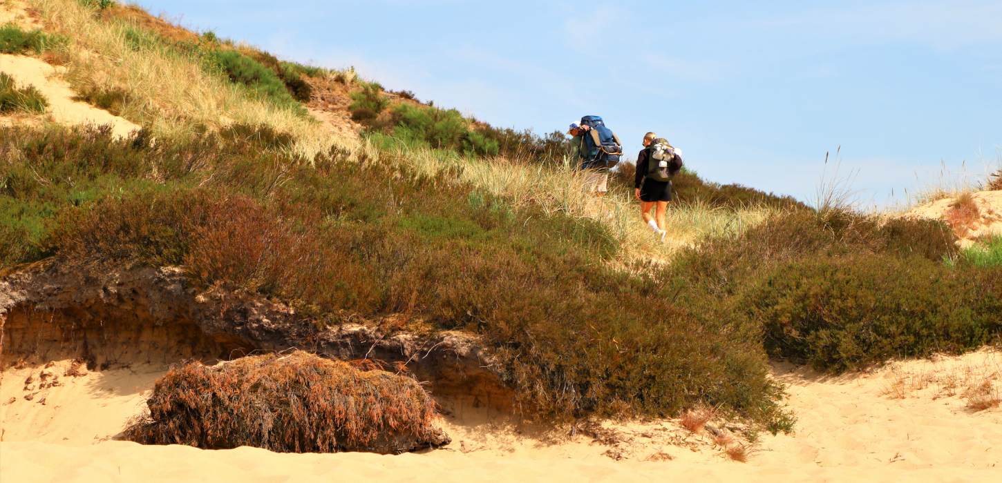 To mennesker vandrer på Randbøl Hede