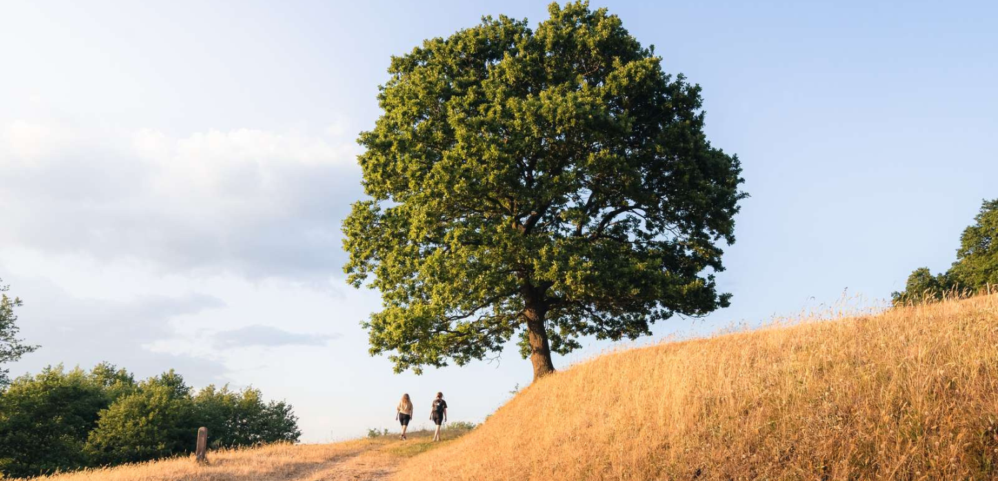 Two on a hike at Runkenbjerg on a summer day