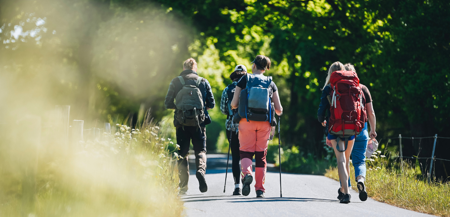 Five hikers on Hærvejen on a summer day