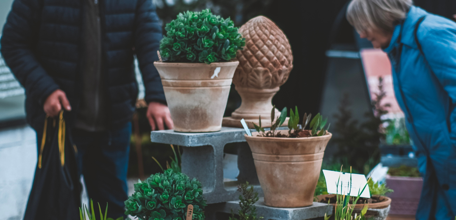 Flowers for the spring market at Tinnetgaard