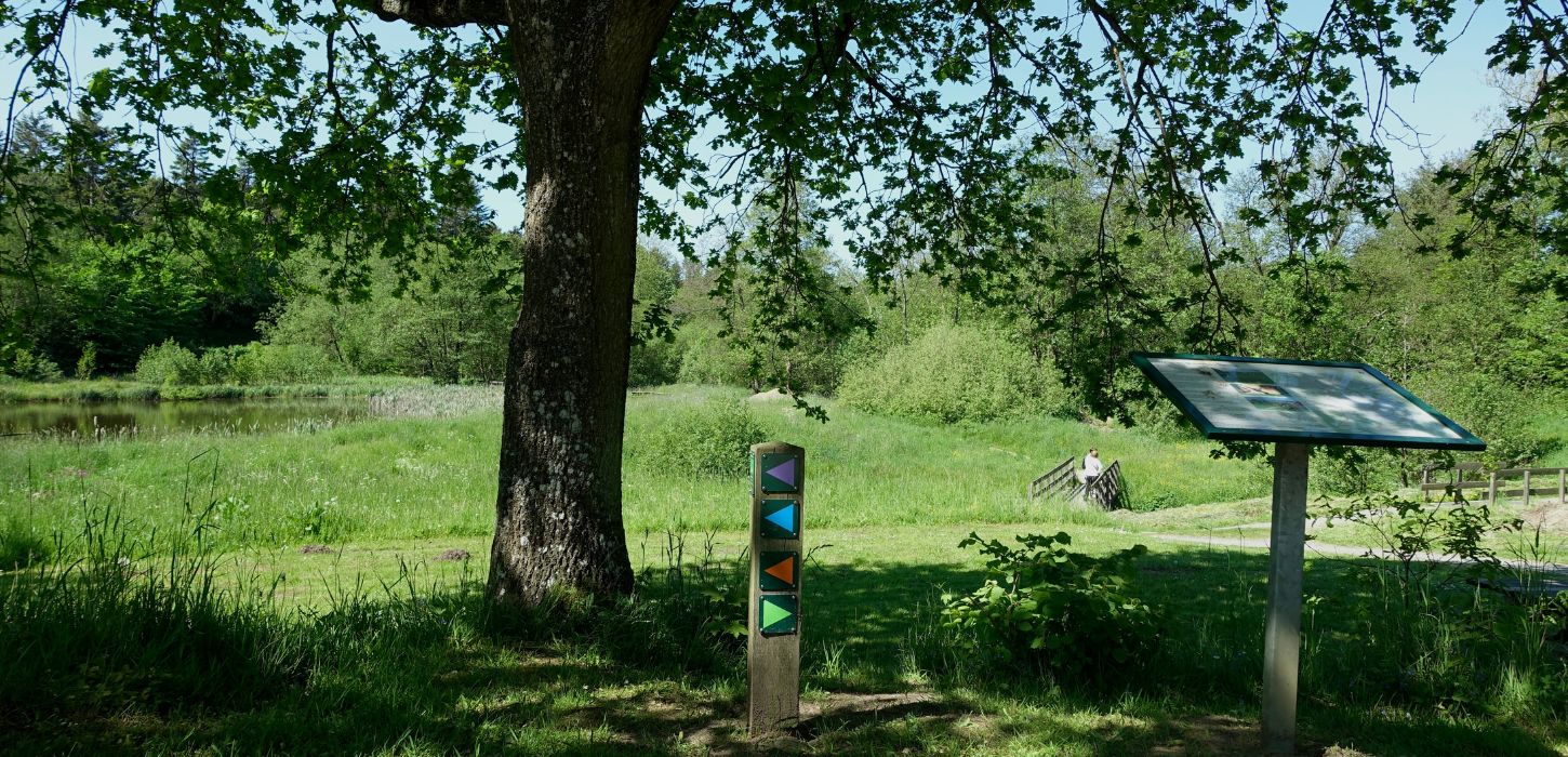 Flere ruter at gå ved Kærlighedsstien i Børkop