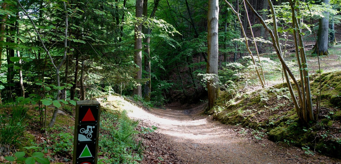 På tur på Grejsdalstien fra Vejle til Jelling