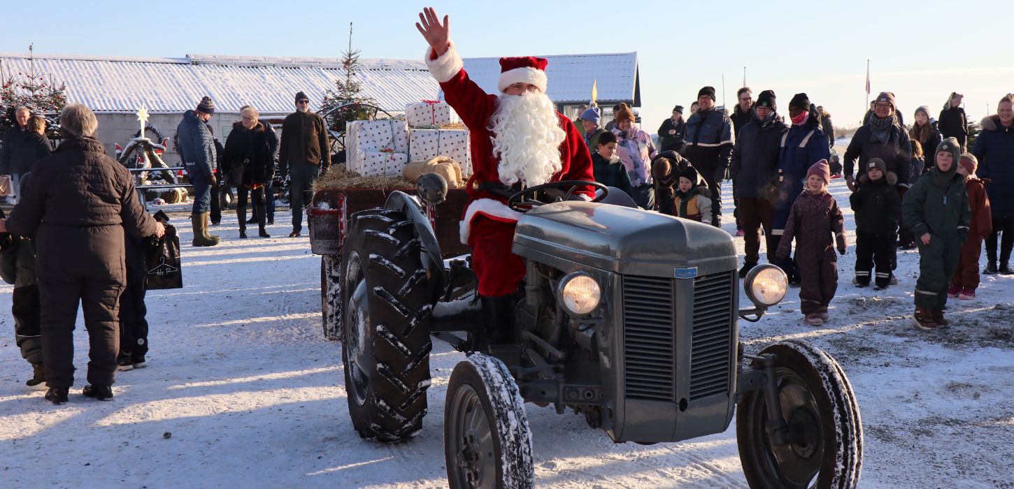 Father Christmas arrives on a tractor at the Christmas market at Tinnetgaard