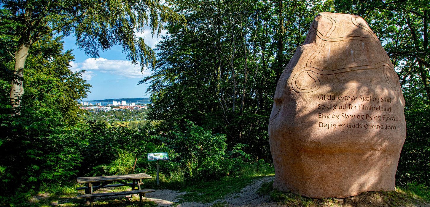 The view from Himmelpind in Vejle at the big stone