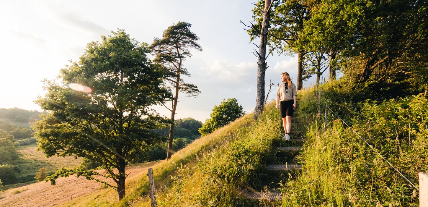 A person goes for a walk at Runkenbjerg in Egtved Ådal