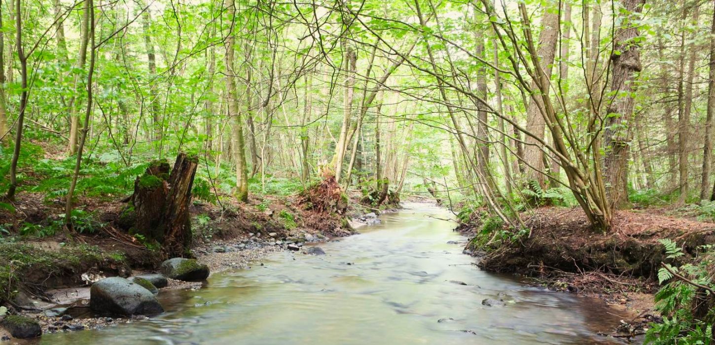 Højen Å i Højen Ådal tæt ved Vejle by