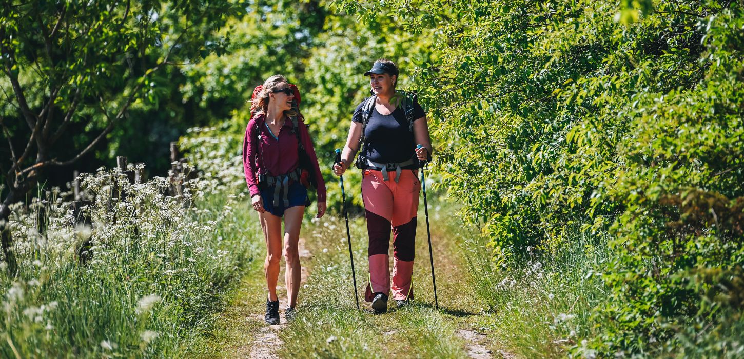 Two people are hiking along Hærvejen on a summer day