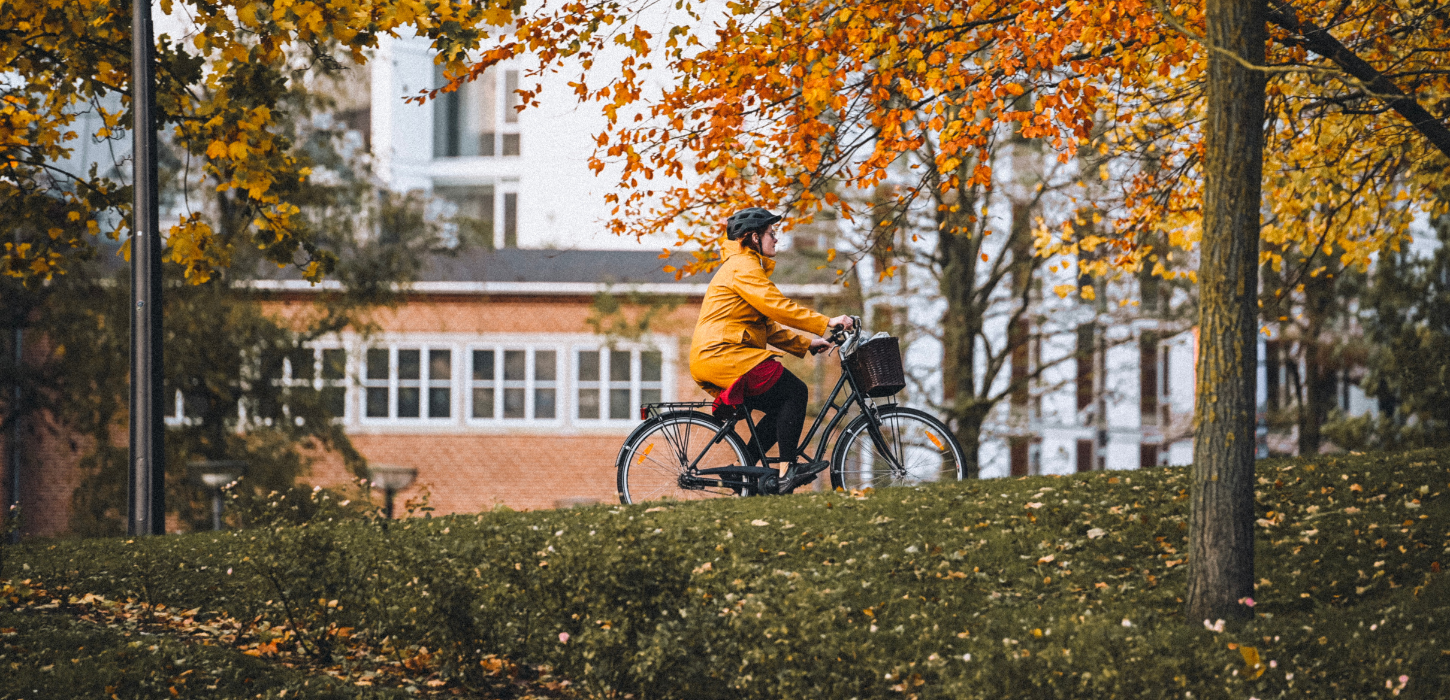 Ein Radfahrer an einem Herbsttag im Mariapark