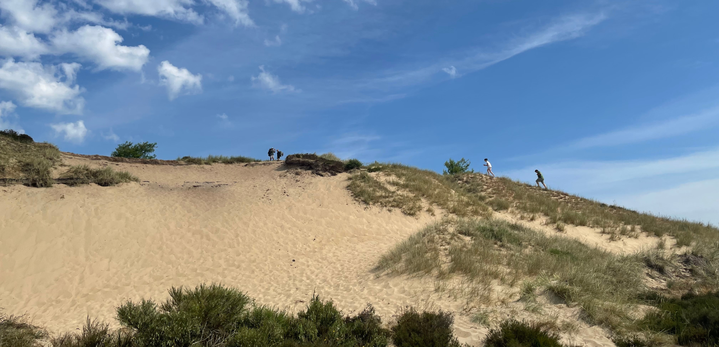 Fantastic views in Vejle | VisitVejle