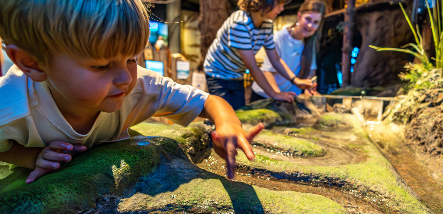 Børn leger og lærer om vand hos Økolariet