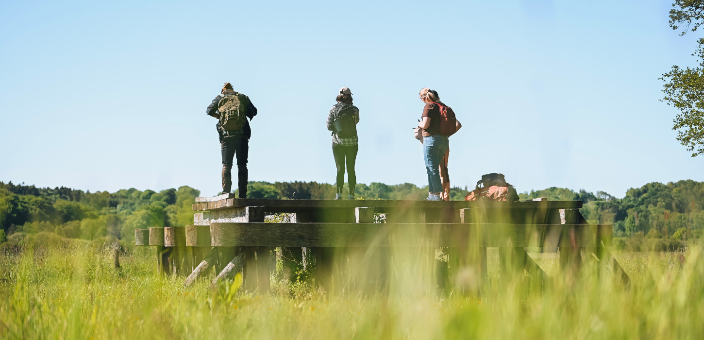 Group of hikers on a hiking trip along the Hærvejen by the Ravning Bridge near Vejle