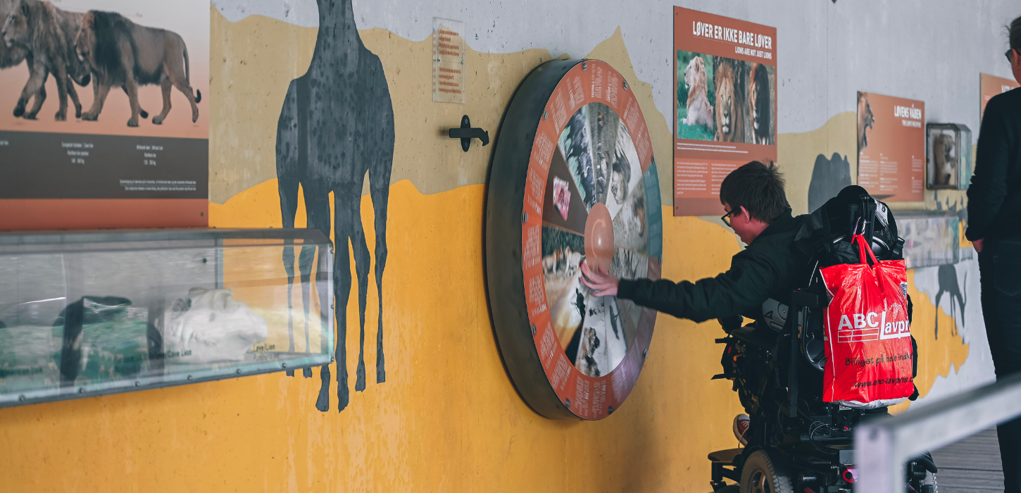 Boy exploring the exhibition at GIVSKUD ZOO