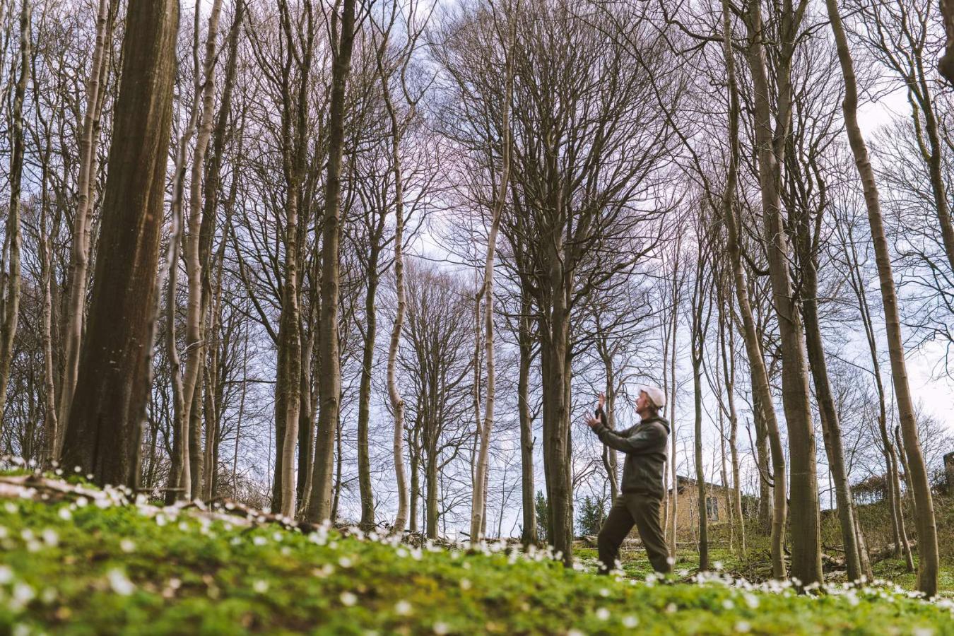 Trævadring i en skov ved Vejle med Jens-Ulrik