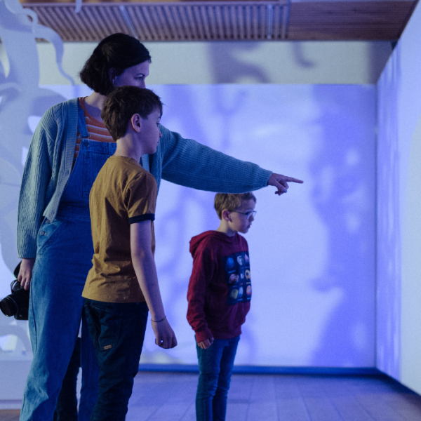 Exhibition at Kongernes Jelling