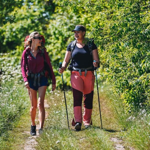 Two people are hiking along Hærvejen on a summer day