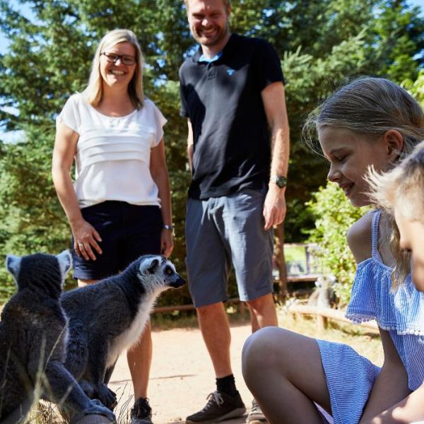 Family on a trip to Givskud Zoo gets up close to the wild animals
