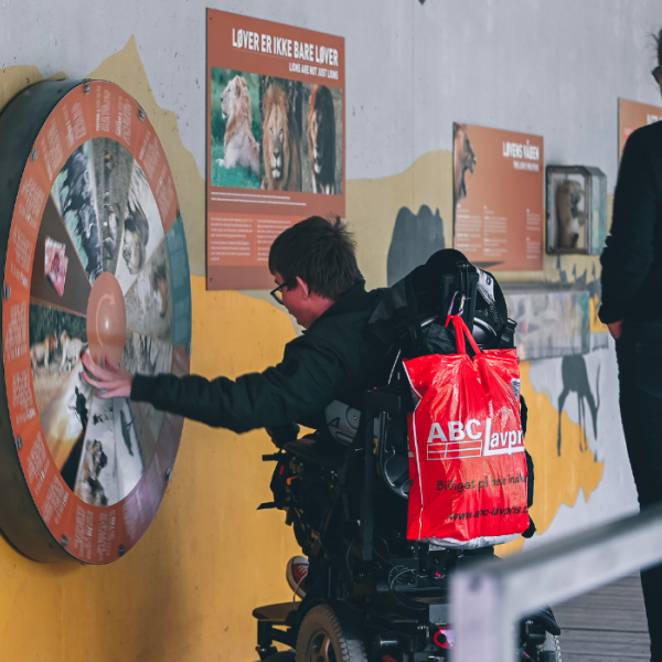 Boy exploring the exhibition at GIVSKUD ZOO