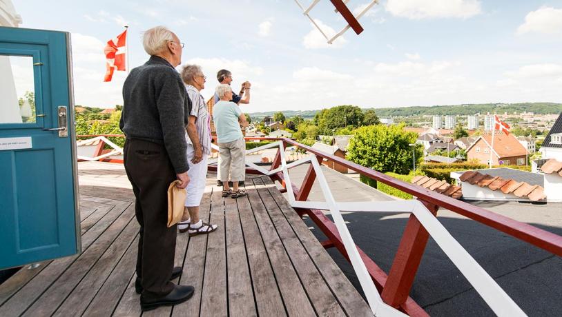 View from Vejle Windmill