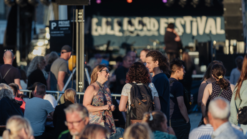  People in front of the stage at the Vejle Fjordfestival