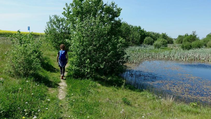 Person hiking along the Grejsdalstien near Jelling