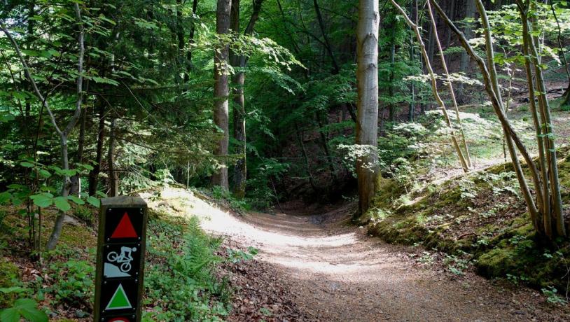 Hiking along the Grejsdalstien from Vejle to Jelling