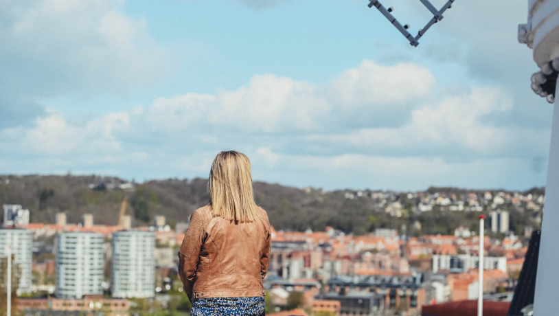 View over Vejle city from the Vejle Windmill