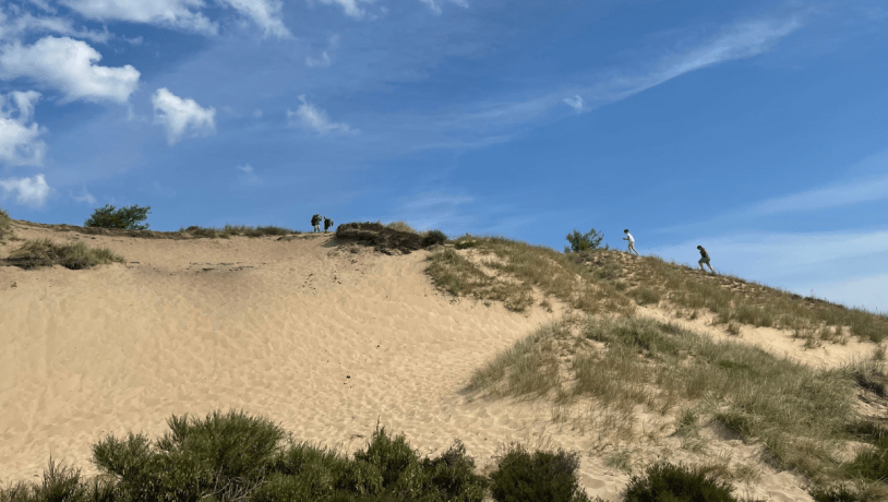 People are walking up Stoltenbjerg at Randbøl Heath.