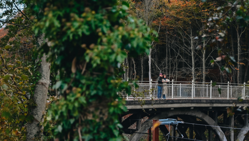 Couple on a walk on an autumn day by Nørreskoven in Vejle