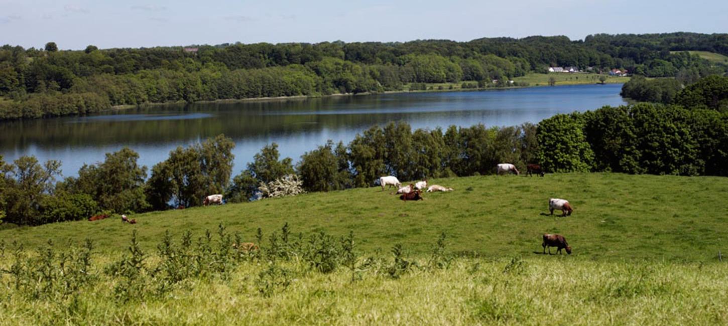 Udsigt over Fårup Sø