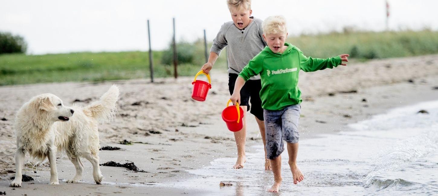 Tirsbæk Strand med to drenge og en hund