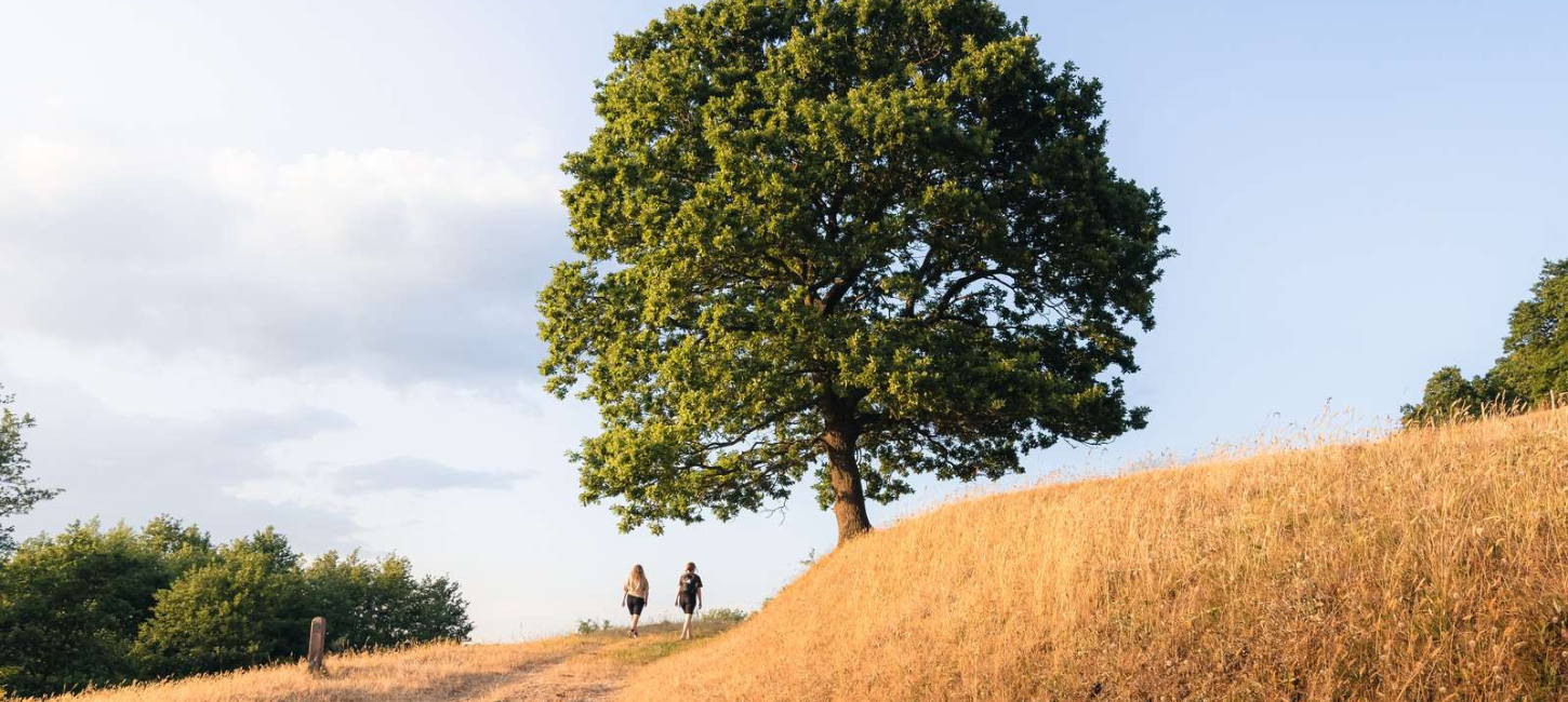 Two on a hike at Runkenbjerg on a summer day
