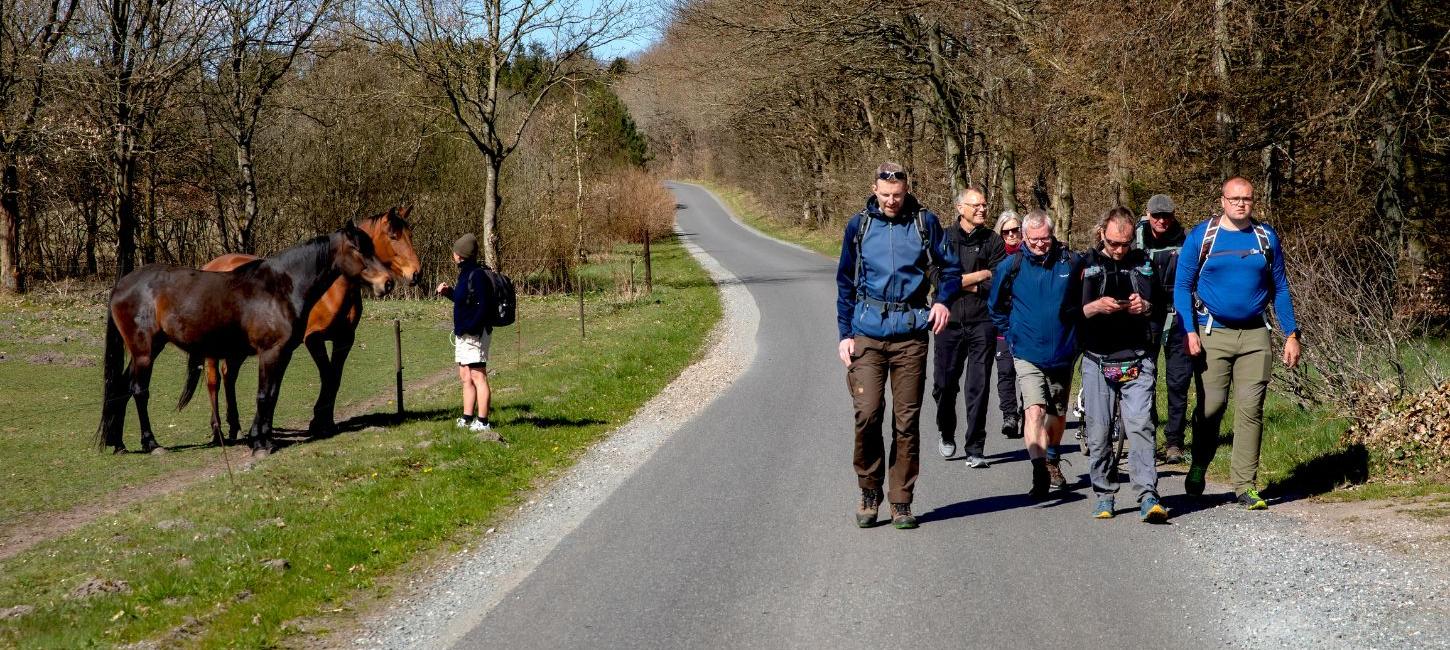 A group of people whike along the hiking route Rans Togt