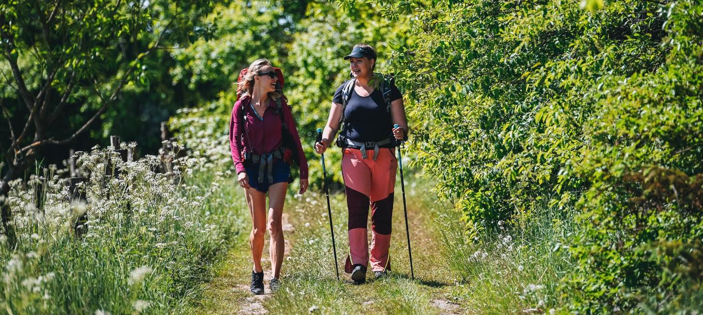 Two people are hiking along Hærvejen on a summer day