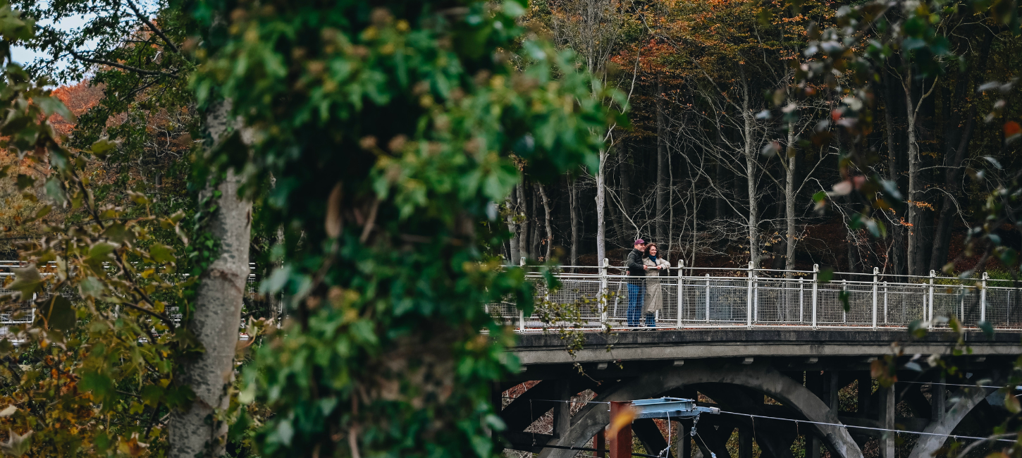 Couple on a walk on an autumn day by Nørreskoven in Vejle