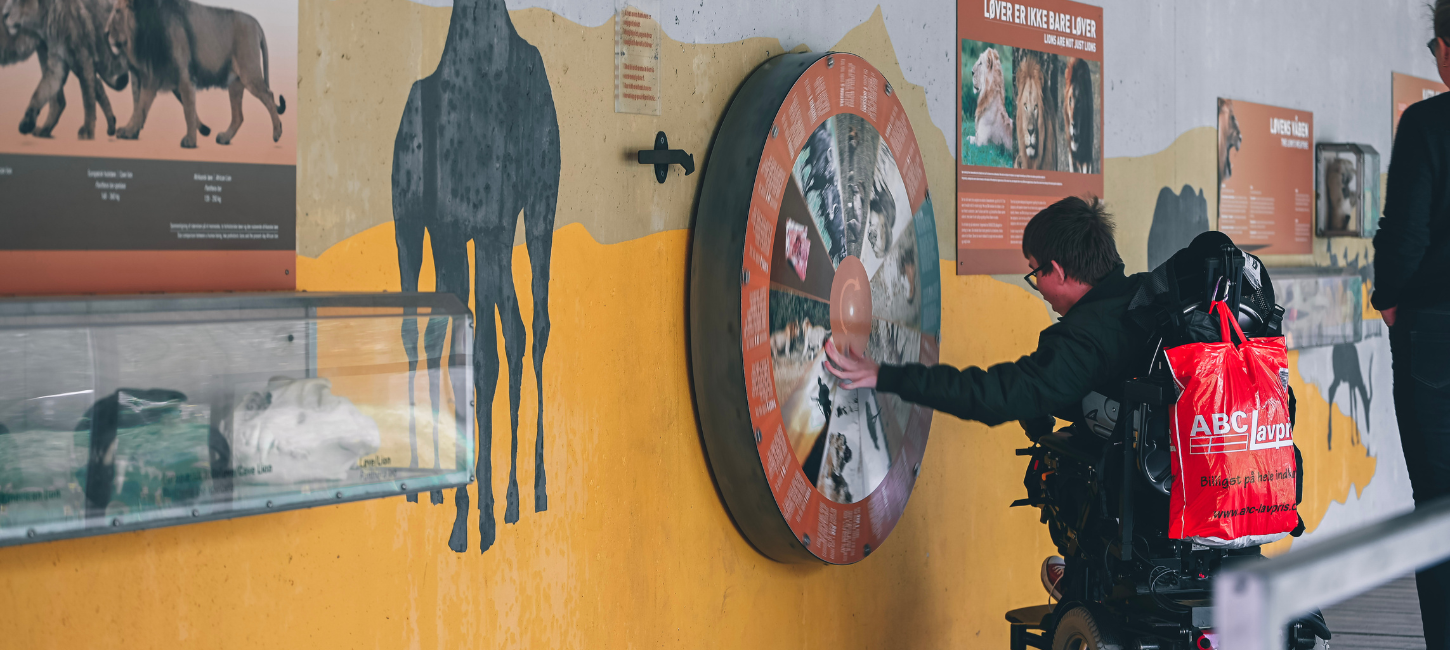 Boy exploring the exhibition at GIVSKUD ZOO