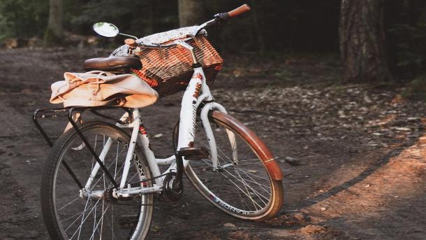 Guideservice Danmark cykel i solen