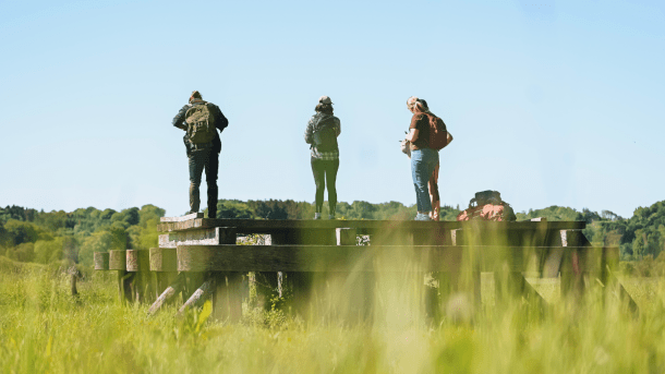 Group of hikers on a hiking trip along the Hærvejen by the Ravning Bridge near Vejle