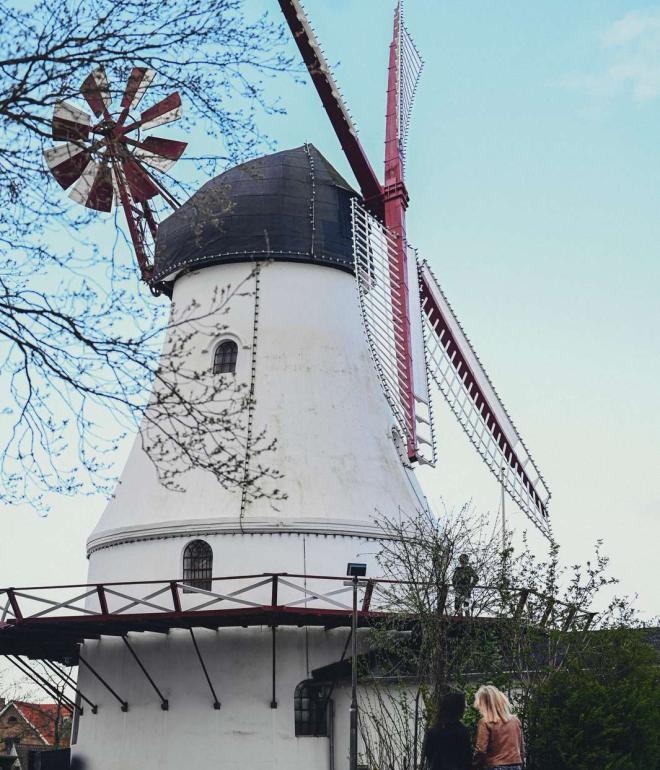 Two people stand and look up at Vejle Windmill on a spring day