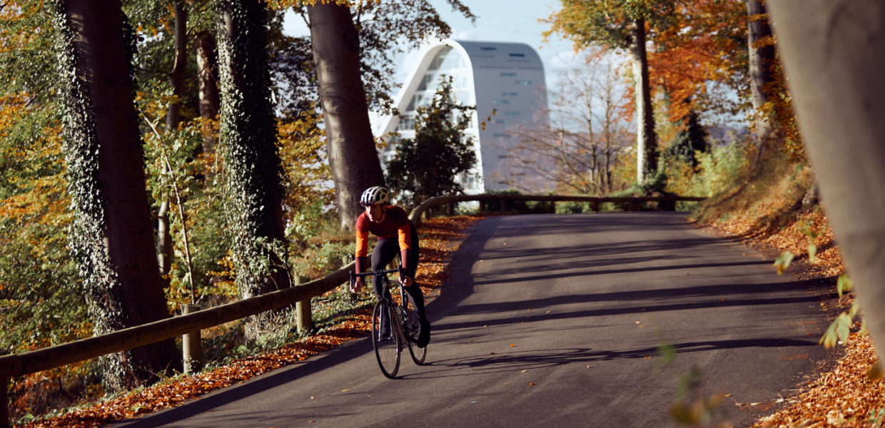 Cykling i Nørreskoven om efteråret med Bølgen i baggrunden
