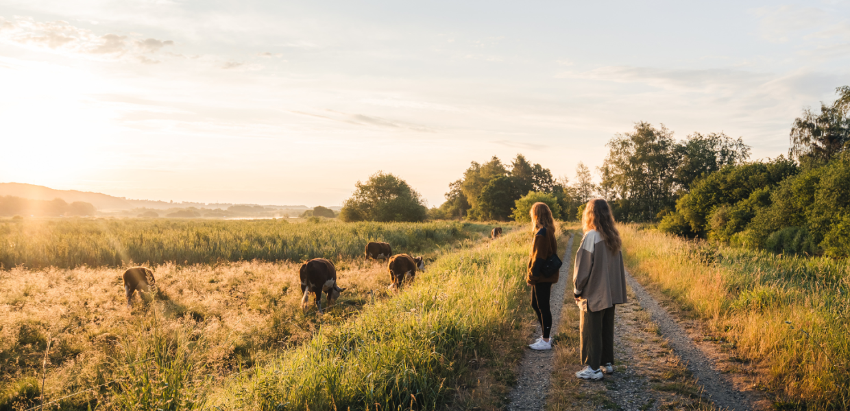 Girls are taking a walk in Vejle Ådal close to cows
