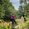 Cyclists on Hærvejen at the source of the Gudenåen with flowers in the foreground