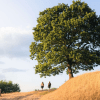 Two on a hike at Runkenbjerg on a summer day