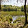 Nature at the source of Gudenåen and Skjern Å